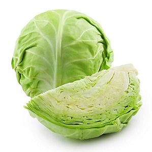 Fresh Cabbage-79